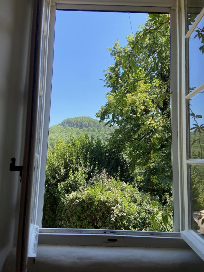 La Frigoule, Un Gite Au Coeur Du Parc Des Cevennes Generargues ภายนอก รูปภาพ