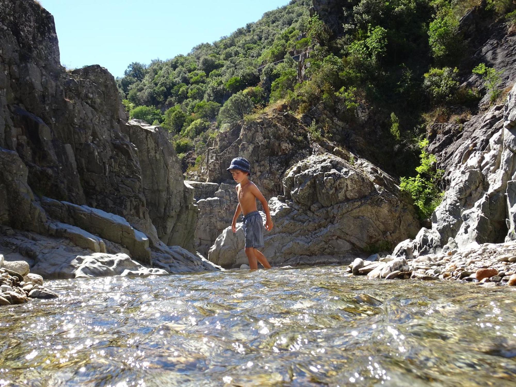 La Frigoule, Un Gite Au Coeur Du Parc Des Cevennes Generargues ภายนอก รูปภาพ
