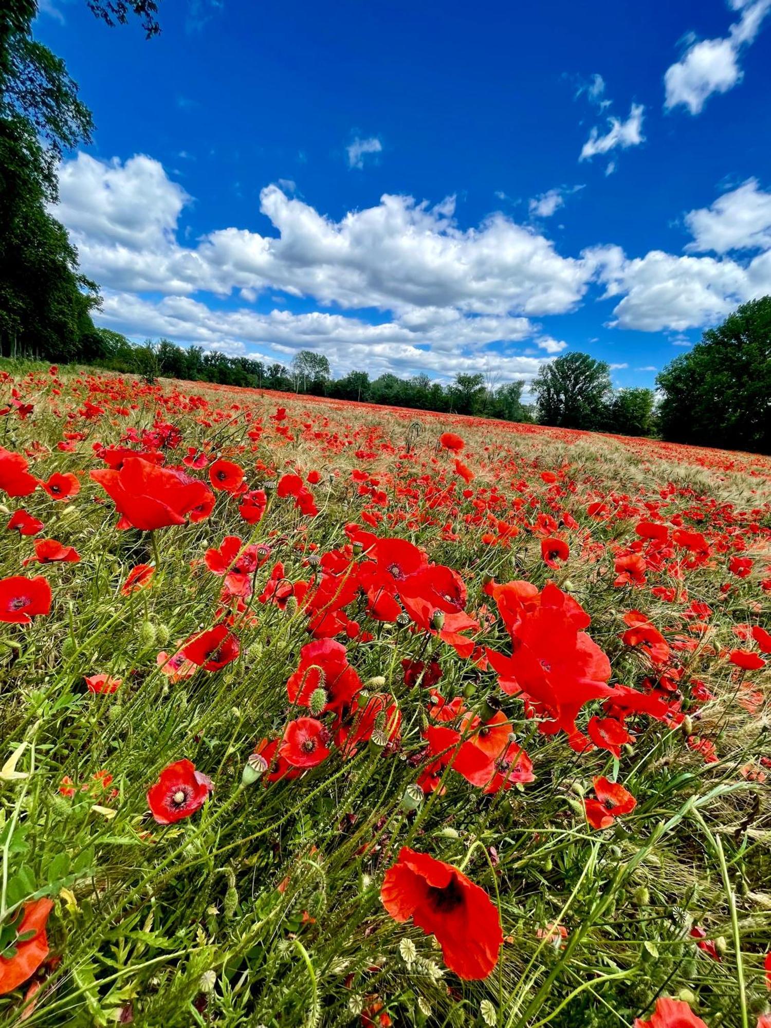 La Frigoule, Un Gite Au Coeur Du Parc Des Cevennes Generargues ภายนอก รูปภาพ